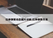 拉伸弹簧动态图片详解,拉伸弹簧作用