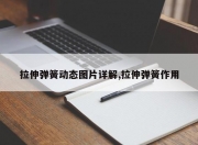 拉伸弹簧动态图片详解,拉伸弹簧作用