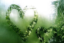 拉伸弹簧产品图片,拉伸弹簧的实际应用