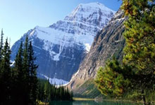 拉伸弹簧产品图片,拉伸弹簧的实际应用