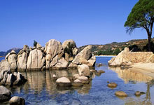 拉伸弹簧产品图片,拉伸弹簧的实际应用